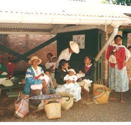 マダガスカル-1