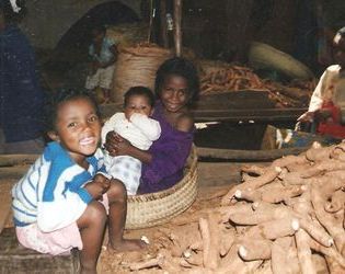 マダガスカル-3