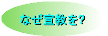 Ȃ鋳H